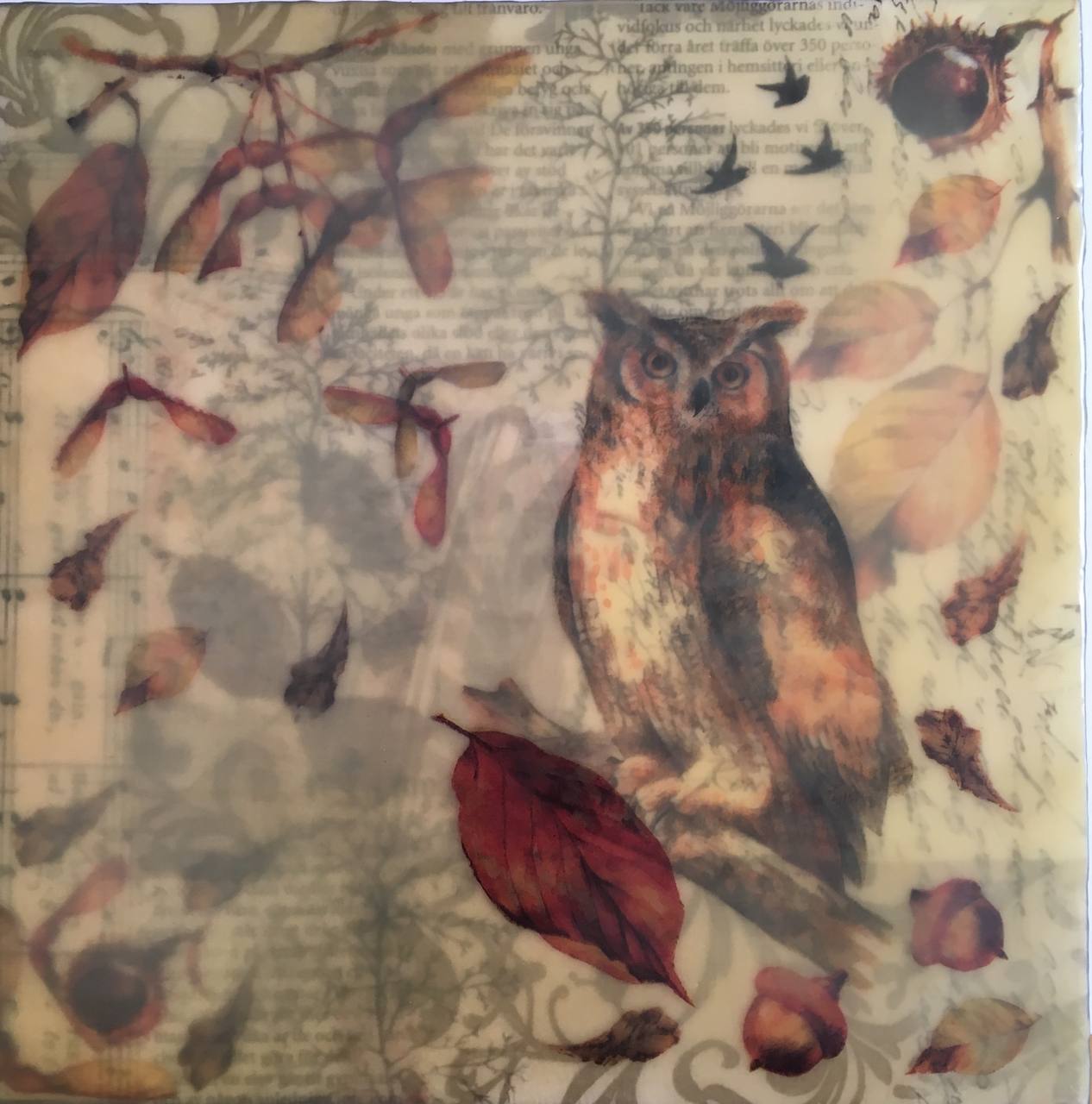Encaustic — Owl